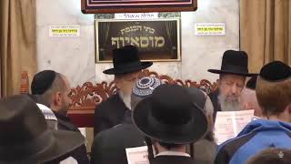הרב בן ציון מוצפי  •  פרשת כי תשא אדר א' תשפ"ד