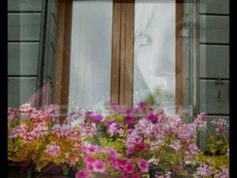 Lulet në dritare - Endri & Stefi Prifti