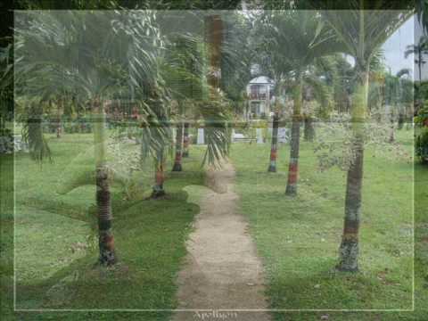 Easy - Don't Kill Your Brother