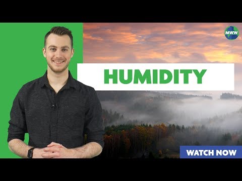 Best Earth Science Videos | What is Humidity?