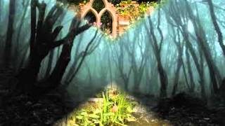 THE PLATTERS    ENCHANTED