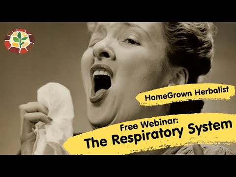 The Respiratory System: Free Live Stream with Doc Jones