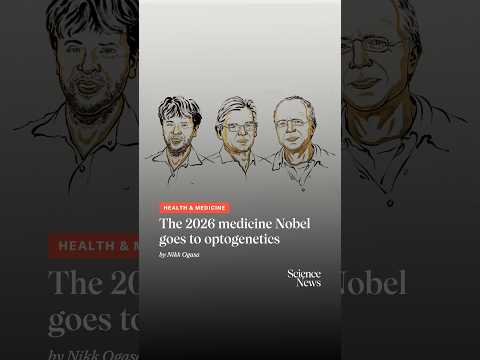 The 2026 medicine Nobel goes to optogenetics | Science News