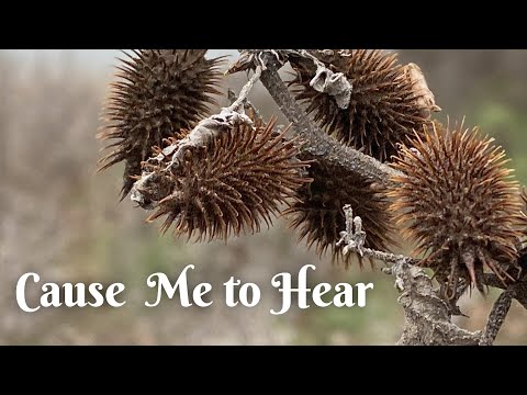 Cause Me to Hear (Psalm 143) - David Jackson - Lyrics