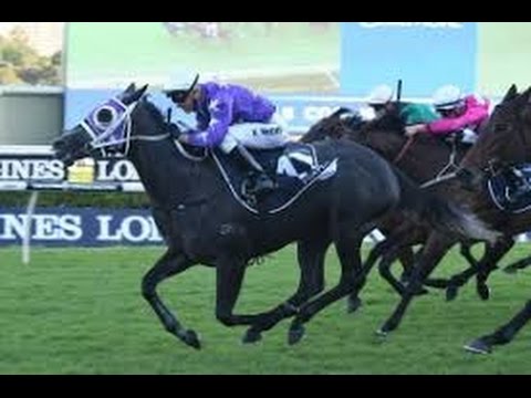 2017 ATC The Championships Queen Of The Turf Stakes