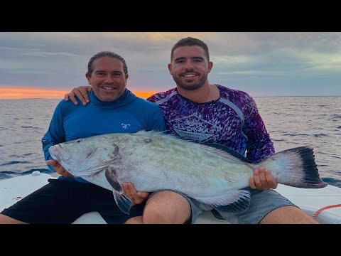 MONSTER Black Grouper Caught in Key Largo!