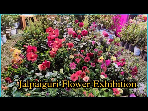 Jalpaiguri Flower Show | পুষ্প প্রদর্শনী ২০২৩ | Jalpaiguri Flower Exhibition 2023