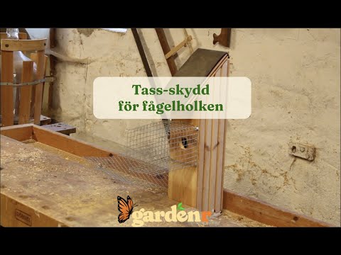 Tass-skydd för fågelholken - Trädgårdshacks med GardenR