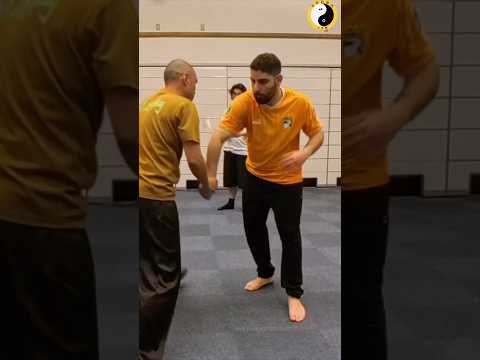 #自然門 #Ziranmen #ナイフ #KungFu #CQC #近接戦闘 #崩し技 #体術 #護身術 #間合い #重心操作 #martialarts #selfdefense
