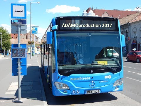 Utazás Citaro C2-vel a 220-as vonalon (HD)