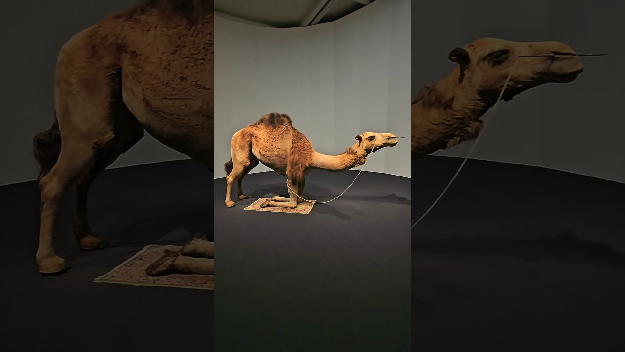 YouTube Short thumbnail