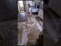 Limpeza Sala E Cozinha Satisfying Satisfacao Asmrcleaning Cleaning Limpeza Cleaningsounds