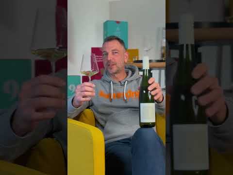 Verkostungsvideo: Riesling Steingewann 2024 Gutswein 