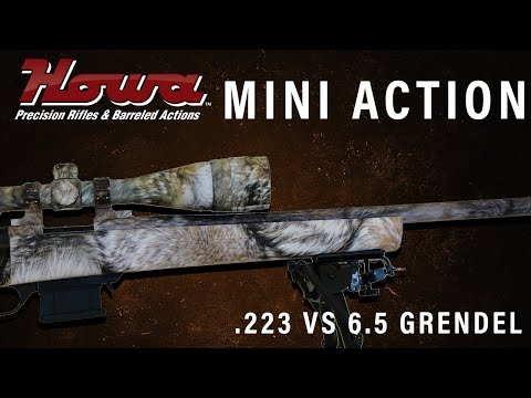 Howa Mini Action Rifle .223 Vs. 6.5 Grendel