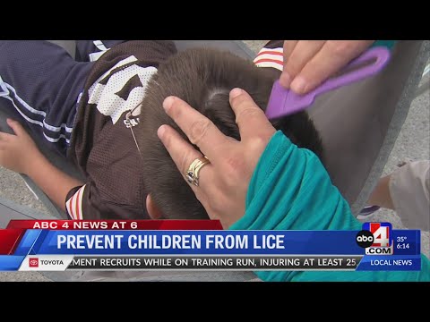 Lice Prevention in Children
