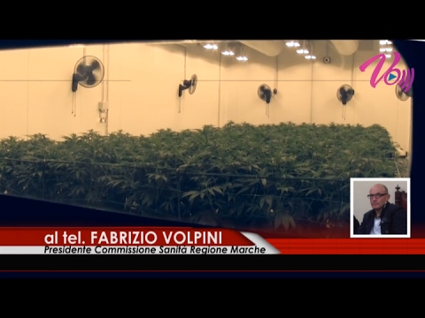 Notizie Senigallia WebTv del 10 02 2017