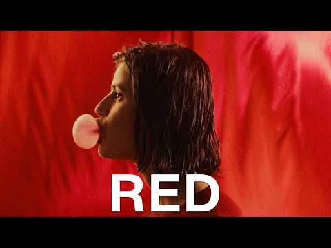 Three Colors: Red - A Visual Masterpiece