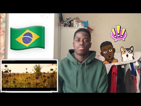 FIRST REACTION TO BRAZIL TRAP (JOVEM DEX- NAV) 🇧🇷