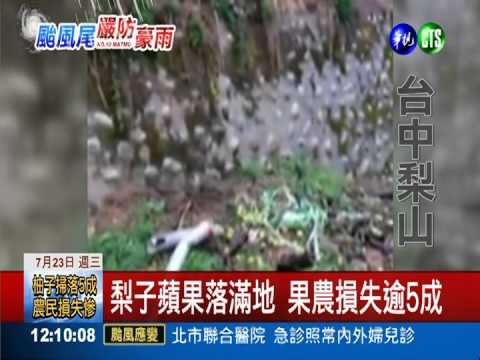梨山蘋果全泡水 果農欲哭無淚