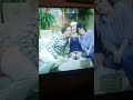 Threes Company Theme Songs Mix
