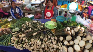 preview picture of video 'Bamboo market and wild food of Pakse , Laos'