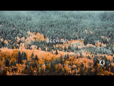 Maes X Landy X Alonzo Type Beat - "Déchiré" (Instru Rap 2021)