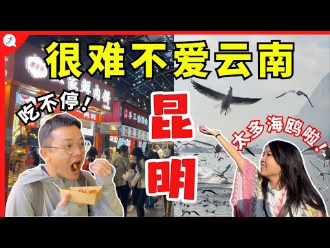 昆明在哪一省