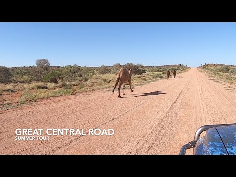 Thumbnail for THE GREAT CENTRAL ROAD | Summer Tour | Episode 5 | Part 1 | #australianoffroad #79serieslandcruiser