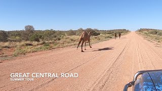 THE GREAT CENTRAL ROAD | Summer Tour | Episode 5 | Part 1 | #australianoffroad #79serieslandcruiser
