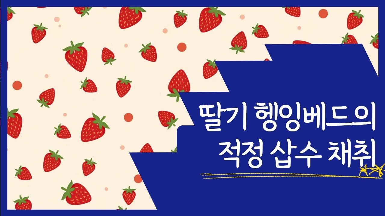 행잉베드 딸기 삽목육묘, 실패 없는 삽수 채취의 골든타임 공개