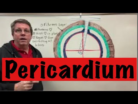 Pericardium Anatomy and Physiology