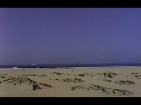 FOANS - Indebted To The Simulation