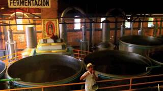preview picture of video 'Recorrido cofradia parte 3: Proceso Elaboracion del Tequila'