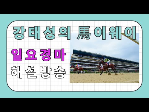 9/7 일요 경마-강태성= 해설 방송