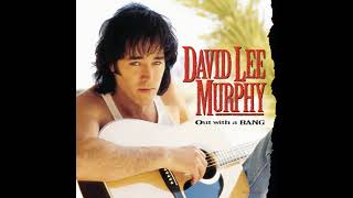 Party Crowd - David Lee Murphy