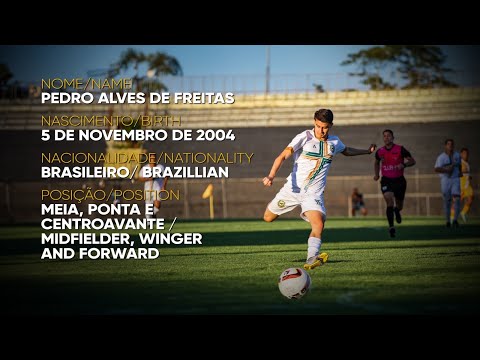 Melhores Momentos Pedro Alves 2024