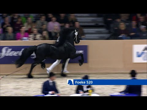 HK 2023 | Winnaar Rubriek 6 | Foeke 520