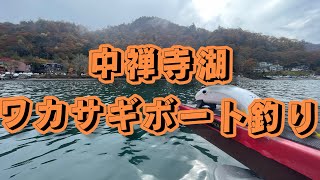 【中禅寺湖】紅葉に癒されながらワカサギ釣りが最高だった件
