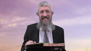 מסכת עבודה זרה דף מו - 8 דקות של לומדות ועמקות בדרך הלימוד הישיבתית [Avodah Zarah 46]