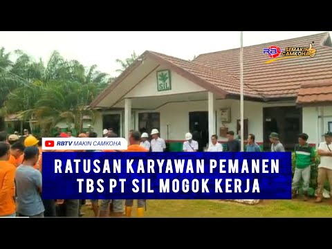 Pemanen TBS PT SIL Demo