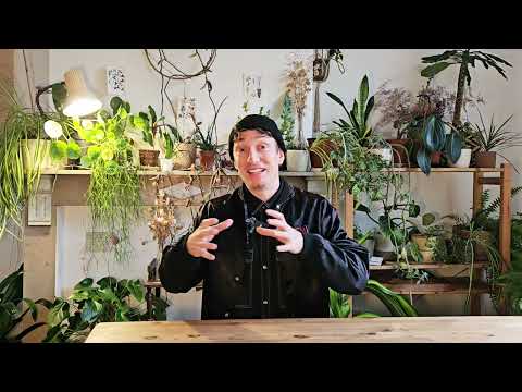 第 1 部分 - 爵士舞和林迪-霍普舞訓練 - 概述和結構 (Part 1 - Jazz & Lindy Hop Training - General Overview and structure)