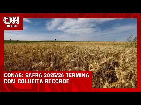 Safra 2025/26 termina com colheita recorde, aponta Conab | CNN AGRO NEWS