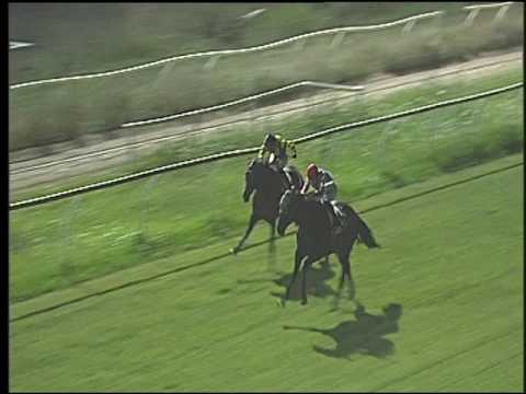 Galoppo 06/08/2016 - 5° corsa