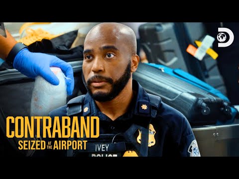 Craziest Atlanta Airport Moments | Contraband: Seized at the Airport | Discovery