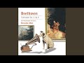 Symphony No. 5 in C Minor, Op. 67: I. Allegro con brio