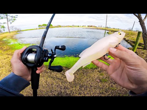 Fishing BIG Swimbaits for GIANT Bass (BIGGIN CAUGHT)