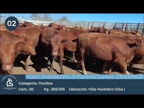 Lote Nll Consumo - Villa Huidobro Córdoba