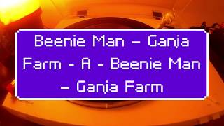Beenie Man - Ganja Farm - A - Beenie Man - Ganja Farm