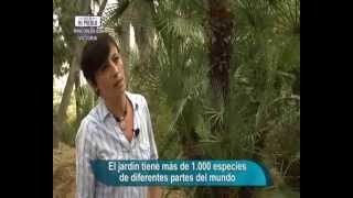 preview picture of video 'Este es mi pueblo: Proyecto Jardín Botánico del Rincón de la Victoria (Con subtítulos)'
