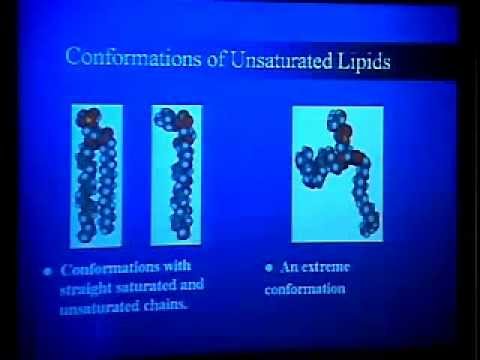 TCBG Summer School 2003: Simulation of Lipids -  Atomic Level Simulation of Membranes